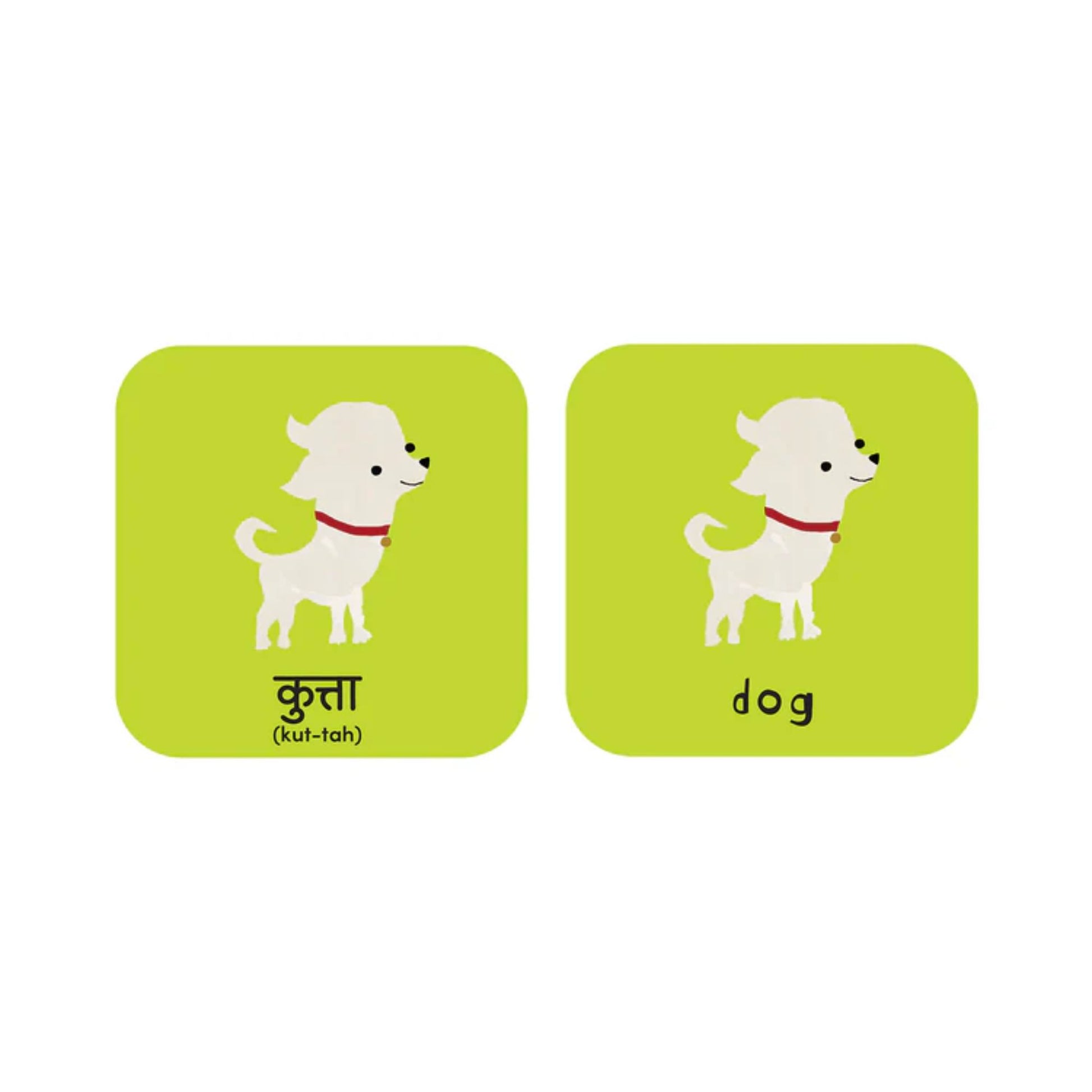 Worldwide Buddies Minilingo, English/Hindi Flashcards image 5